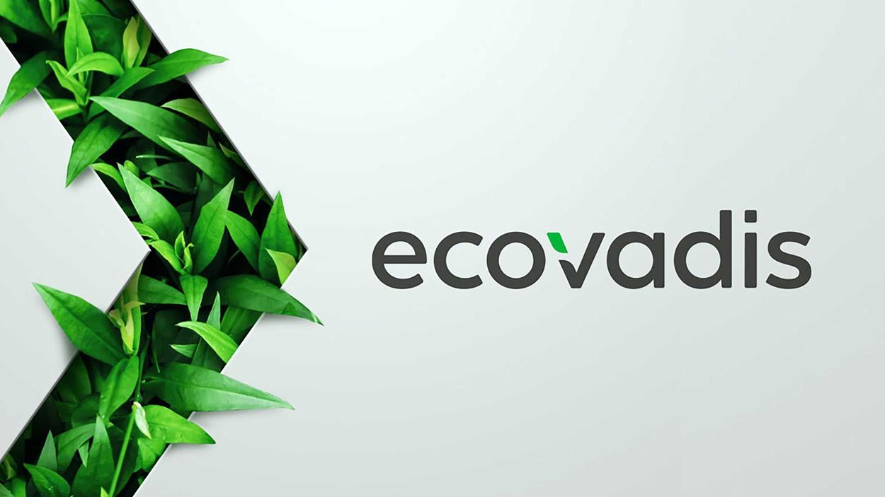 ecovadis youube