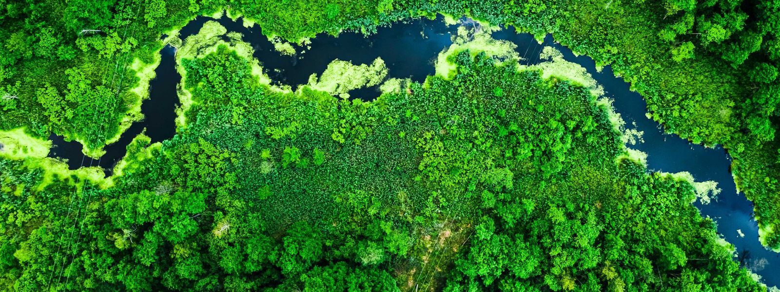 AdobeStock 303068993