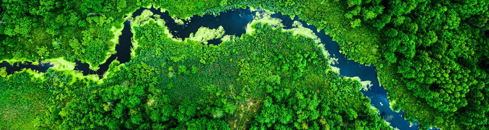 AdobeStock 303068993