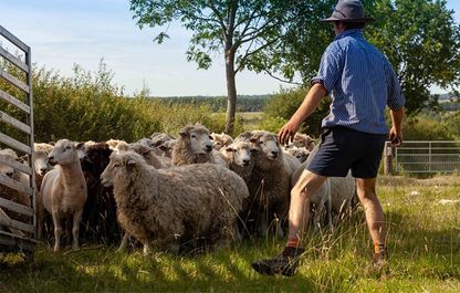 angus meet the farmer