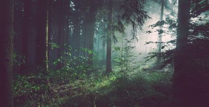 carbon neutral nav@2x 1