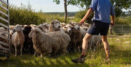 angus meet the farmer