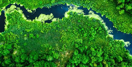 AdobeStock 303068993